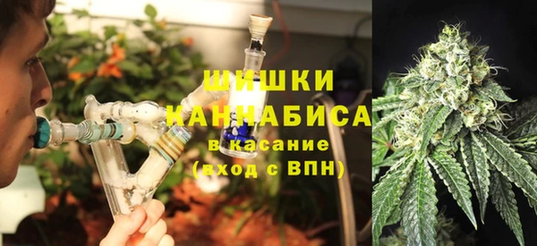 стафф Инта