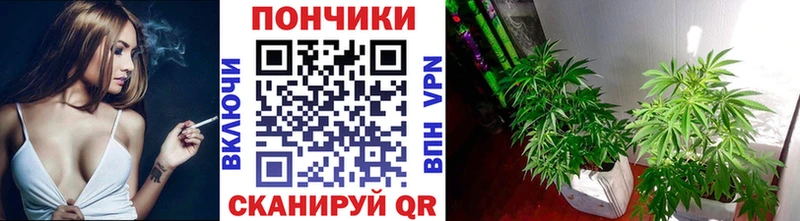 где можно купить Яблоновский Каннабис план